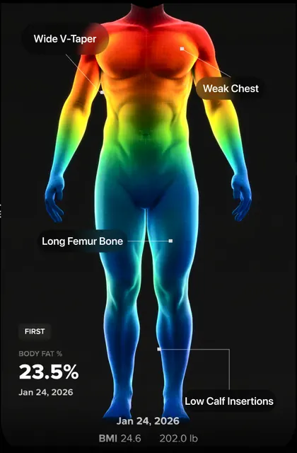 Thelo body scan with body fat and structure callouts