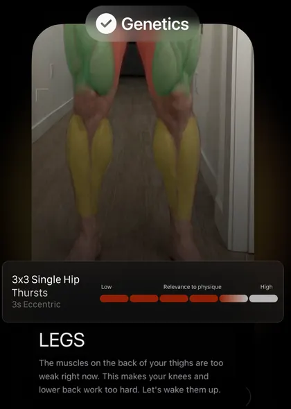 Thelo genetics insight for legs and training recommendations